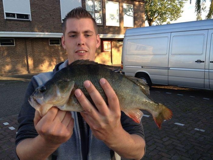 Ολλανδός στην Κω με 2 βαλίτσες ρούχα ντύνει μετανάστες [εικόνες] | iefimerida.gr 8