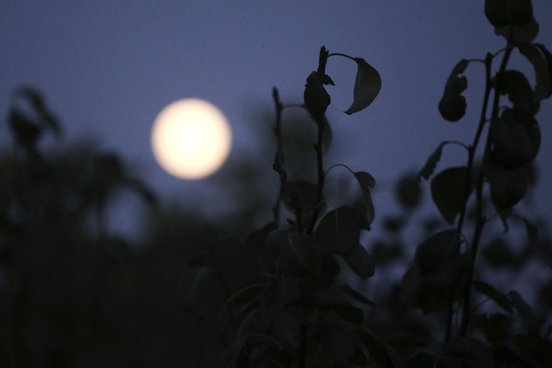 Το Blue Moon φωτίζει τη νύχτα - Η μαγευτική 2η πανσέληνος του Ιουλίου στον Αττικό ουρανό [εικόνες] | iefimerida.gr 3