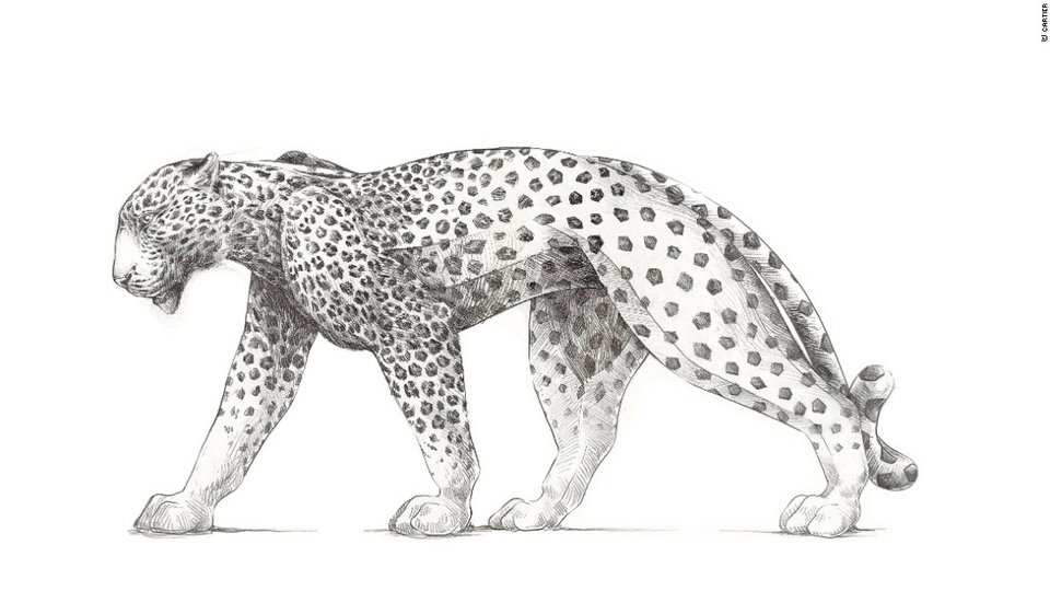 Ο πάνθηρας της Cartier γίνεται 100 χρονών: Η ιστορία ενός συμβόλου πολυτελείας [εικόνες] | iefimerida.gr 0