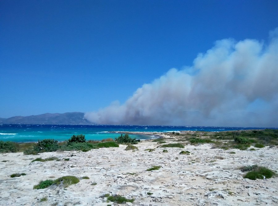 Ανεξέλεγκτη η φωτιά στη Νεάπολη Λακωνίας: Νεκρός ένας 58χρονος - Καίγονται καταστήματα μέσα στην πόλη [εικόνες & βίντεο] | iefimerida.gr 8