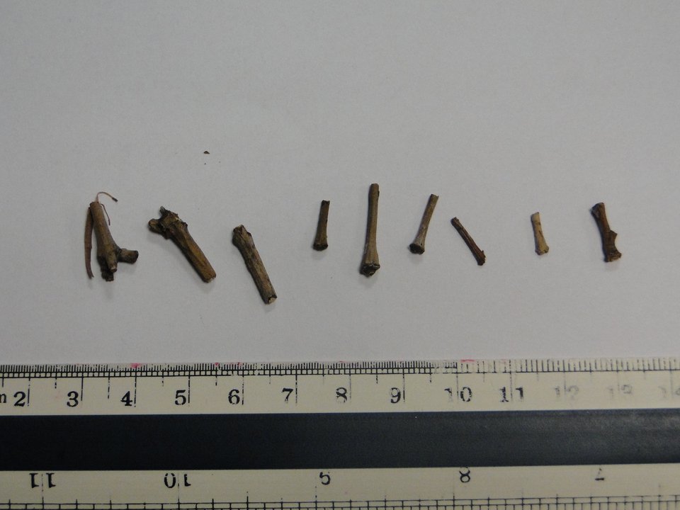 Ληστές «επιστήμονες» στη Θεσσαλονίκη -Λεία 255.000 ευρώ μέσα σε ένα μήνα [εικόνες] | iefimerida.gr 1