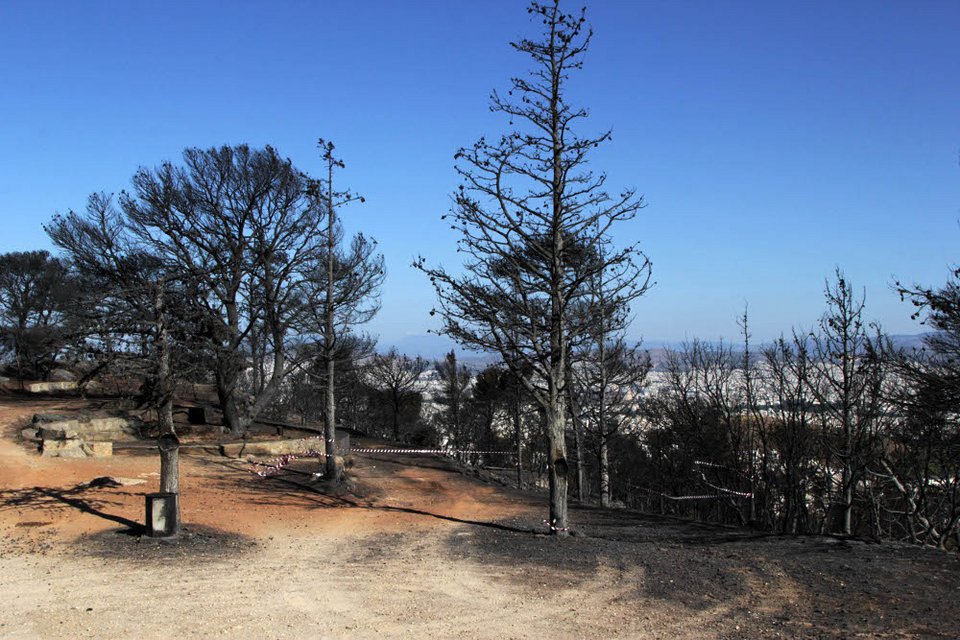 Εικόνες θλίψης από τον Υμηττό - Η επόμενη ημέρα της πυρκαγιάς [εικόνες] | iefimerida.gr 4
