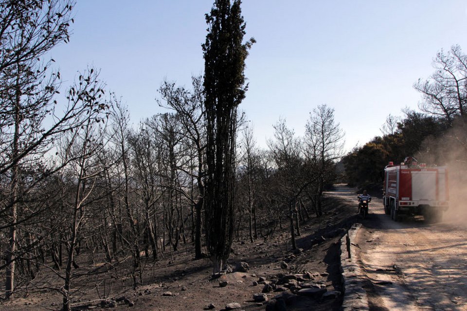 Εικόνες θλίψης από τον Υμηττό - Η επόμενη ημέρα της πυρκαγιάς [εικόνες] | iefimerida.gr 5