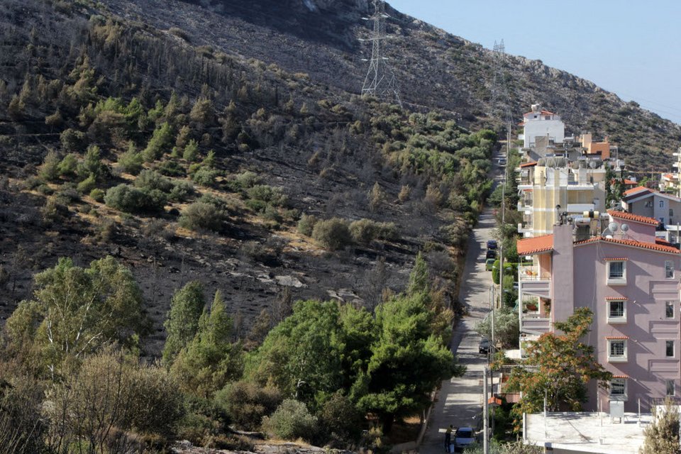 Εικόνες θλίψης από τον Υμηττό - Η επόμενη ημέρα της πυρκαγιάς [εικόνες] | iefimerida.gr 6