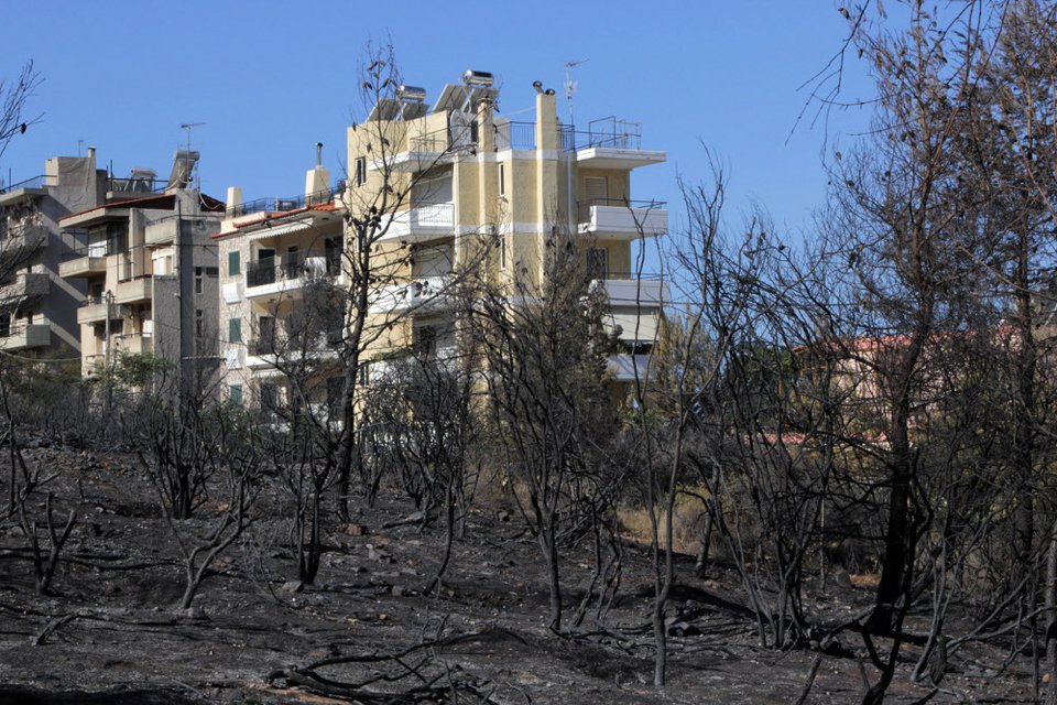 Εικόνες θλίψης από τον Υμηττό - Η επόμενη ημέρα της πυρκαγιάς [εικόνες] | iefimerida.gr 7