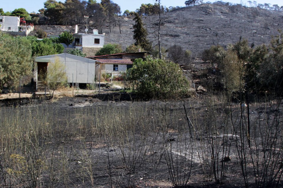 Εικόνες θλίψης από τον Υμηττό - Η επόμενη ημέρα της πυρκαγιάς [εικόνες] | iefimerida.gr 8