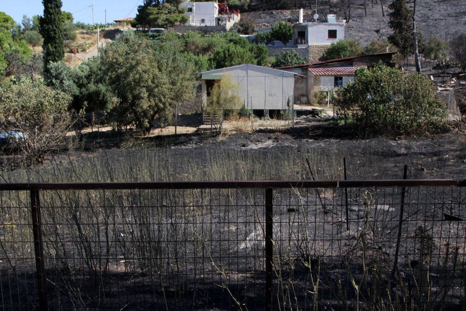 Εικόνες θλίψης από τον Υμηττό - Η επόμενη ημέρα της πυρκαγιάς [εικόνες] | iefimerida.gr 9