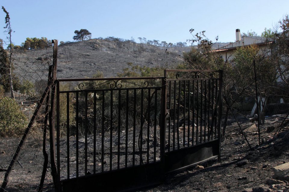 Εικόνες θλίψης από τον Υμηττό - Η επόμενη ημέρα της πυρκαγιάς [εικόνες] | iefimerida.gr 10