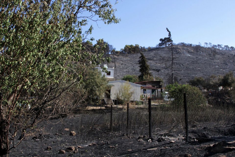 Εικόνες θλίψης από τον Υμηττό - Η επόμενη ημέρα της πυρκαγιάς [εικόνες] | iefimerida.gr 11