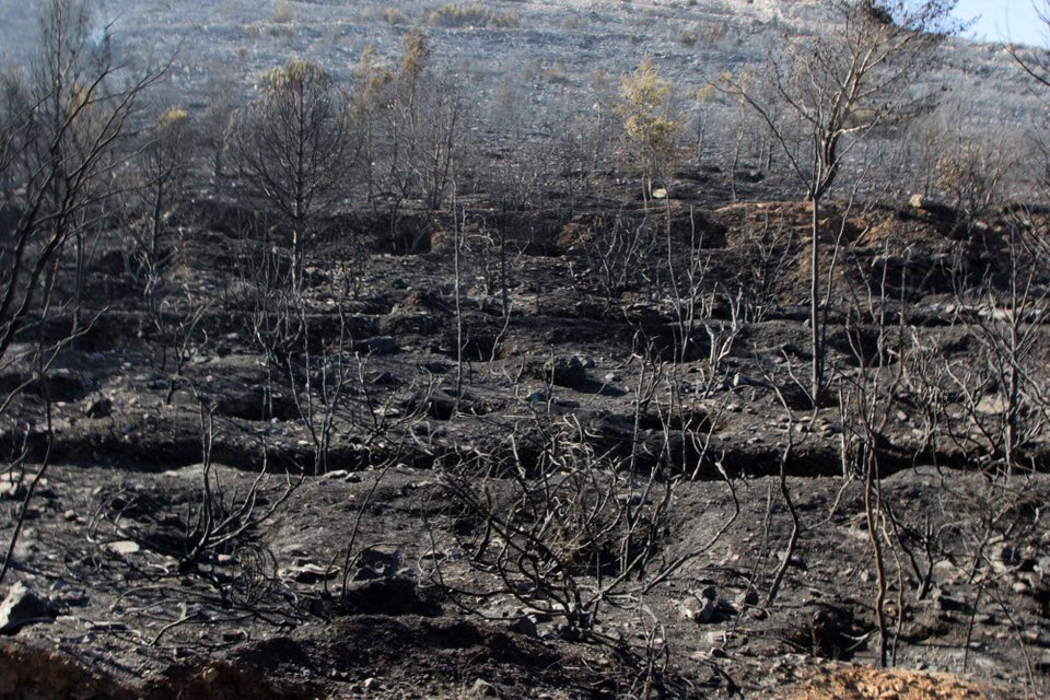 Εικόνες θλίψης από τον Υμηττό - Η επόμενη ημέρα της πυρκαγιάς [εικόνες] | iefimerida.gr 12
