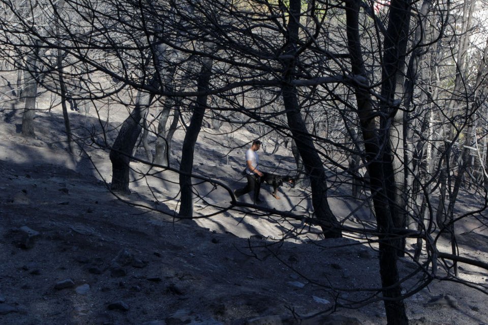 Εικόνες θλίψης από τον Υμηττό - Η επόμενη ημέρα της πυρκαγιάς [εικόνες] | iefimerida.gr 13