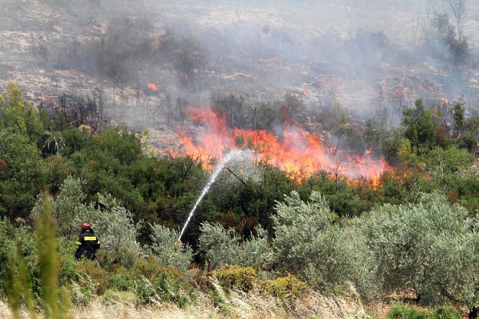 Σε ύφεση η φωτιά στη Σταμάτα -Κοντά σε κατοικημένη περιοχή [εικόνες] | iefimerida.gr 5