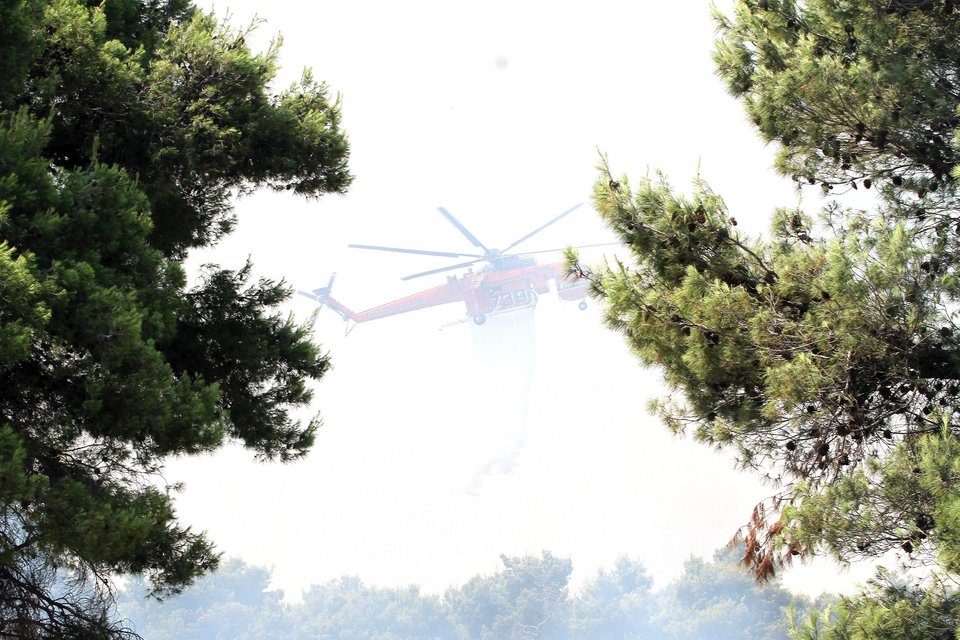Σε ύφεση η φωτιά στη Σταμάτα -Κοντά σε κατοικημένη περιοχή [εικόνες] | iefimerida.gr 3