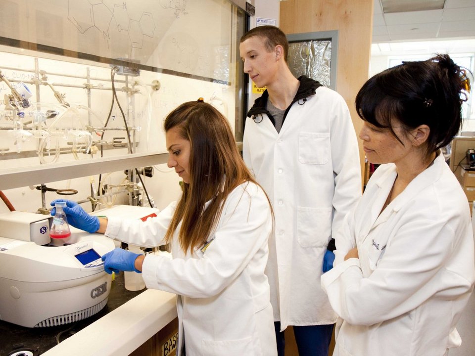 Οι 10 σπουδές που οδηγούν στους υψηλότερους μισθούς μετά την αποφοίτηση [λίστα] | iefimerida.gr 8