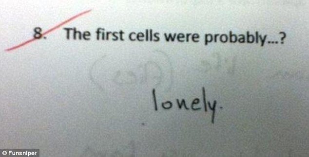 Οταν το χιούμορ παίρνει άριστα: Ξεκαρδιστικές απαντήσεις μαθητών σε διαγωνίσματα [εικόνες] | iefimerida.gr 4