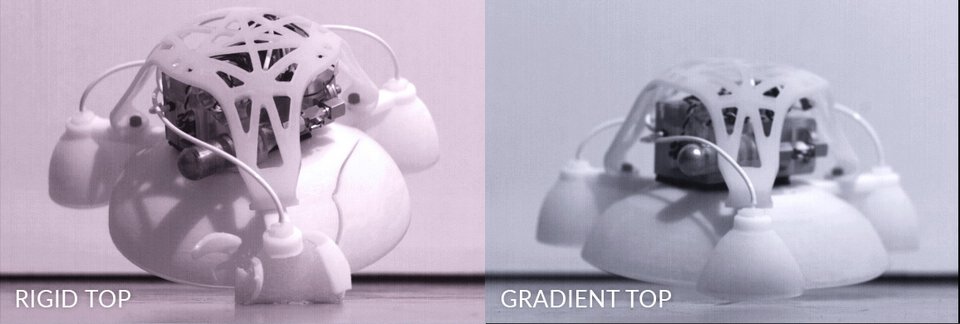 Το πρώτο τρισδιάστατα εκτυπωμένο ρομπότ -Σκληρό από μέσα, μαλακό από έξω [εικόνες & βίντεο] | iefimerida.gr 0