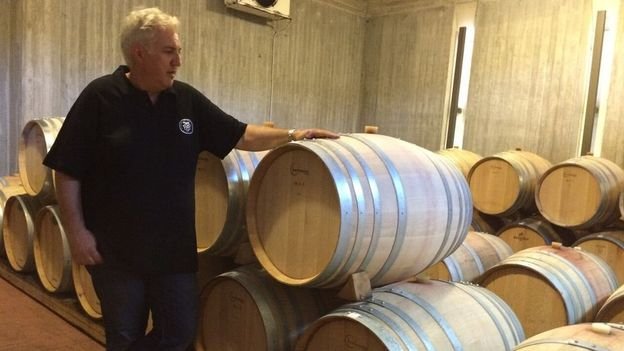 To BBC στο Μαρκόπουλο Αττικής: Αμπελώνες, απλότητα κι επιστροφή στον παλιό τρόπο ζωής [εικόνες] | iefimerida.gr 0