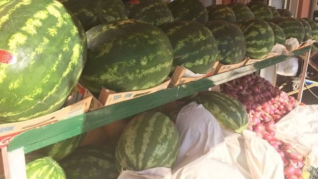 To BBC στο Μαρκόπουλο Αττικής: Αμπελώνες, απλότητα κι επιστροφή στον παλιό τρόπο ζωής [εικόνες] | iefimerida.gr 3