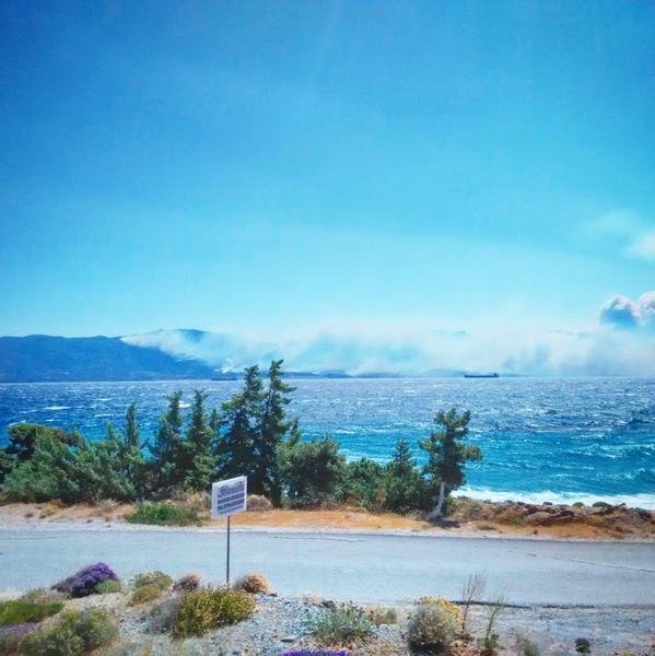 Ανεξέλεγκτη η φωτιά στη Νεάπολη Λακωνίας: Νεκρός ένας 58χρονος - Καίγονται καταστήματα μέσα στην πόλη [εικόνες & βίντεο] | iefimerida.gr 23