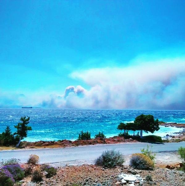 Ανεξέλεγκτη η φωτιά στη Νεάπολη Λακωνίας: Νεκρός ένας 58χρονος - Καίγονται καταστήματα μέσα στην πόλη [εικόνες & βίντεο] | iefimerida.gr 22