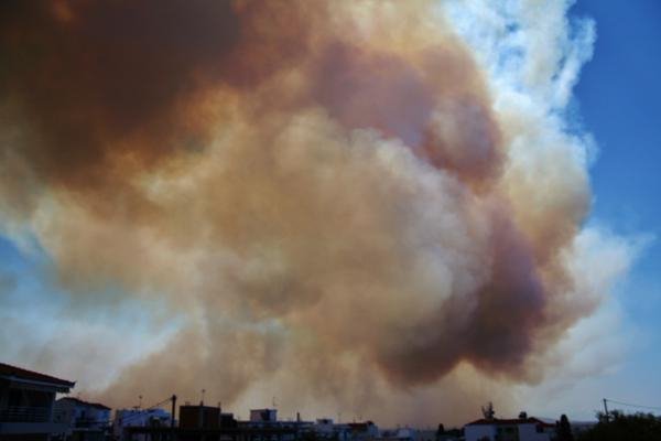Ανεξέλεγκτη η φωτιά στη Νεάπολη Λακωνίας: Νεκρός ένας 58χρονος - Καίγονται καταστήματα μέσα στην πόλη [εικόνες & βίντεο] | iefimerida.gr 17
