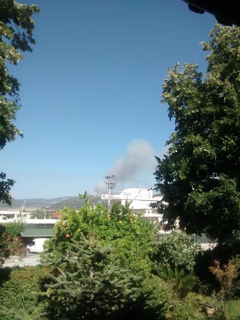 Μεγάλη φωτιά και στη Μαλακάσα - Απομακρύνθηκαν 130 παιδιά από 3 κατασκηνώσεις [εικόνα] | iefimerida.gr 0