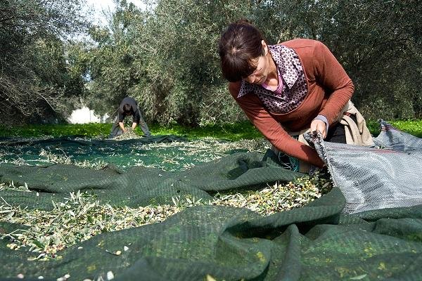 Το CNBC ερμηνεύει με φωτογραφίες κάθε μέτρο! [εικόνες] | iefimerida.gr 2
