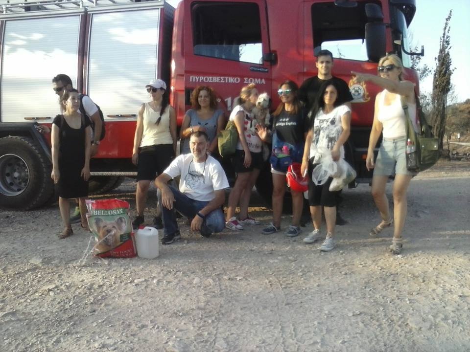 Μια συγκινητική πρωτοβουλία: Βάζουν νερό και τροφή για τα ζώα που επέζησαν από τη πυρκαγιά στον Υμηττό [εικόνες]  | iefimerida.gr 5