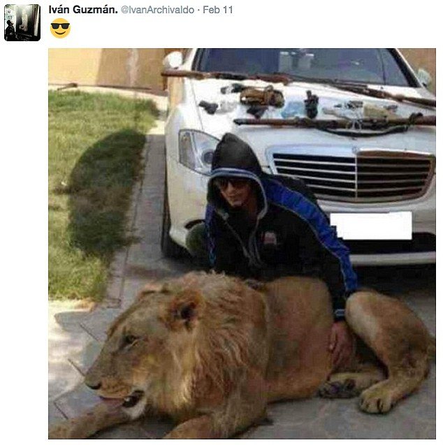 Πανάκριβα αυτοκίνητα, όπλα και λιοντάρια για κατοικίδια -Η χλιδάτη ζωή των πλούσιων παιδιών του καρτέλ ναρκωτικών [εικόνες] | iefimerida.gr 2