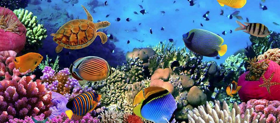 Η Ελλάδα στην πέμπτη θέση με τους  10 κορυφαίους προορισμούς του κόσμου [εικόνες]  | iefimerida.gr 7