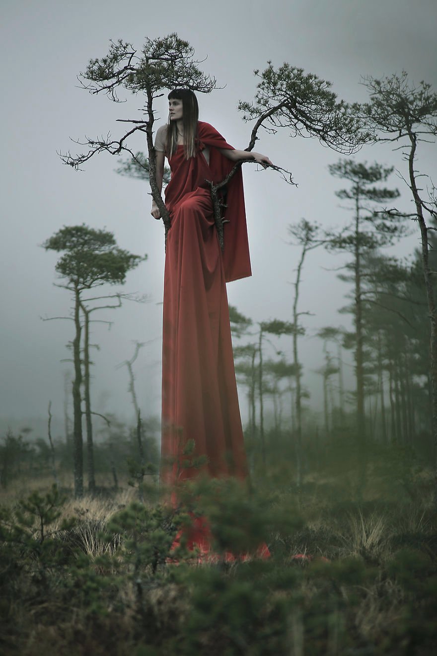 Οταν το δάσος και ο άνθρωπος γίνονται ένα [εικόνες]   | iefimerida.gr 2