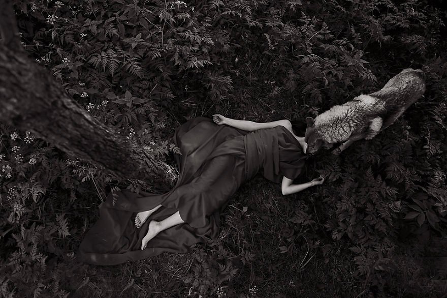 Οταν το δάσος και ο άνθρωπος γίνονται ένα [εικόνες]   | iefimerida.gr 4