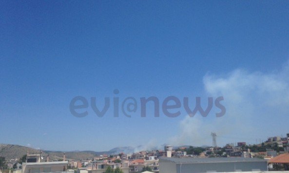 Φωτιά και στη Χαλκίδα -Εκκενώνονται δύο οικισμοί [εικόνες] | iefimerida.gr 1