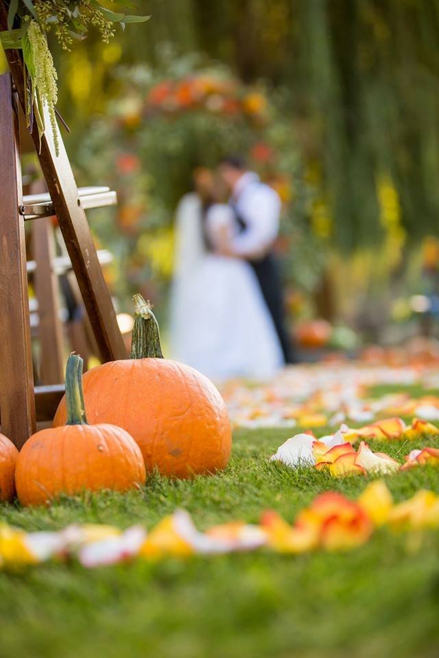 Εδώ παντρεύτηκαν Μίλα Κούνις-Αστον Κούτσερ - Σε έναν επίγειο παράδεισο [εικόνες] | iefimerida.gr 3