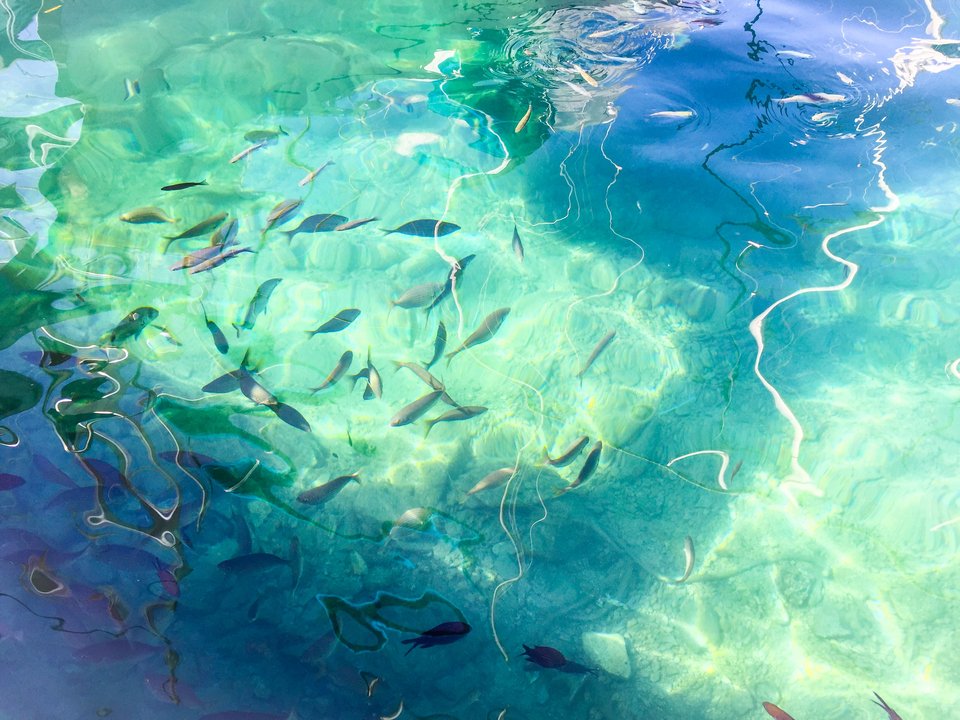 Metro: 10+1 λόγοι για να επισκεφθείτε οπωσδήποτε την Κεφαλονιά [βίντεο & εικόνες] | iefimerida.gr 16