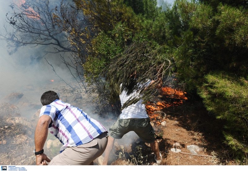 Τα πρόσωπα της αγωνίας: Πυροσβέστες και κάτοικοι με λάστιχα τρέχουν να σώσουν σπίτια, εκκλησίες, δάσος [εικόνες] | iefimerida.gr 31
