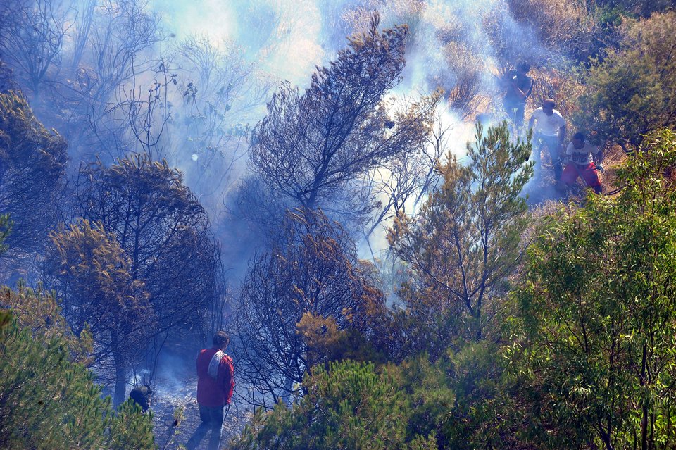 Μεγάλες καταστροφές από τις φωτιές -Πυρκαγιά και στη Σκύρο [εικόνες] | iefimerida.gr 9