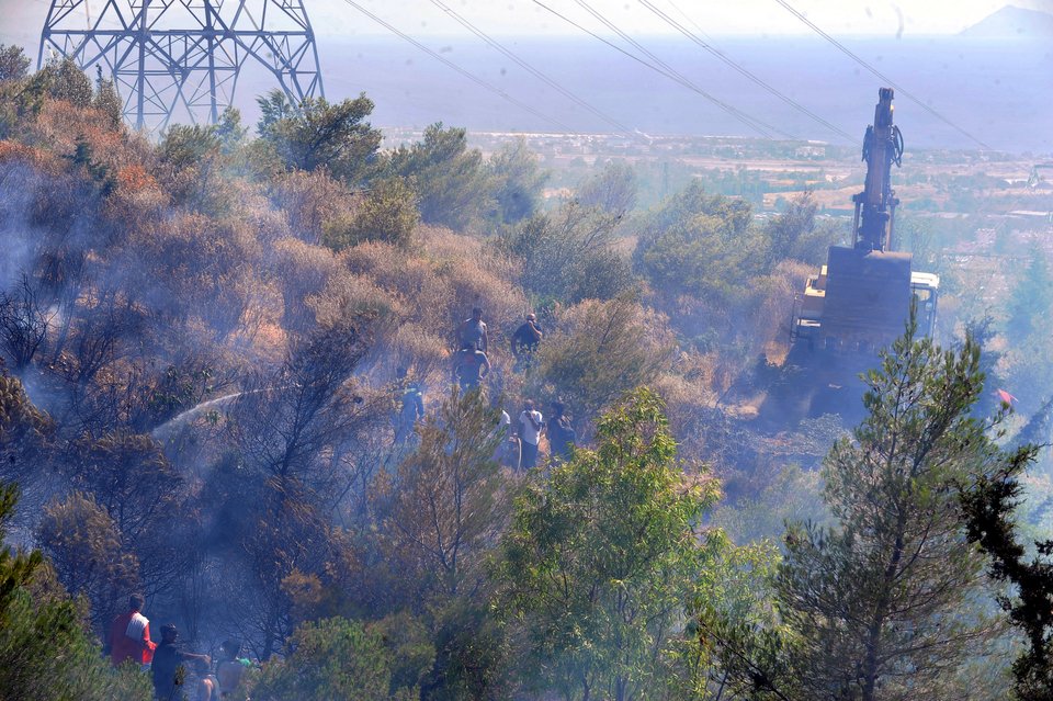 Μεγάλες καταστροφές από τις φωτιές -Πυρκαγιά και στη Σκύρο [εικόνες] | iefimerida.gr 10