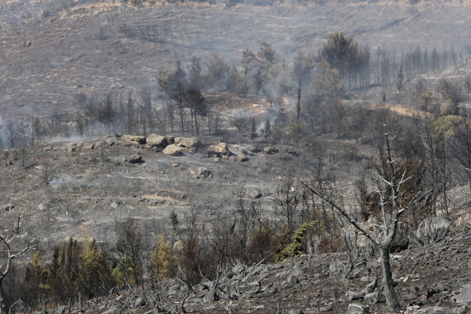 Μεγάλες καταστροφές από τις φωτιές -Πυρκαγιά και στη Σκύρο [εικόνες] | iefimerida.gr 11
