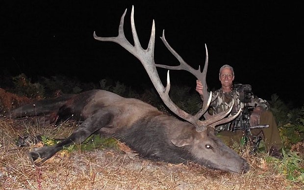 Εξαφανισμένος ο γιατρός που σκότωσε το διασημότερο λιοντάρι της Ζιμπάμπουε [εικόνες] | iefimerida.gr 3