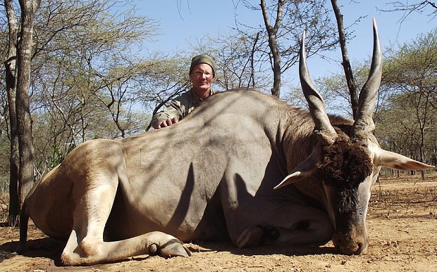 Εξαφανισμένος ο γιατρός που σκότωσε το διασημότερο λιοντάρι της Ζιμπάμπουε [εικόνες] | iefimerida.gr 4