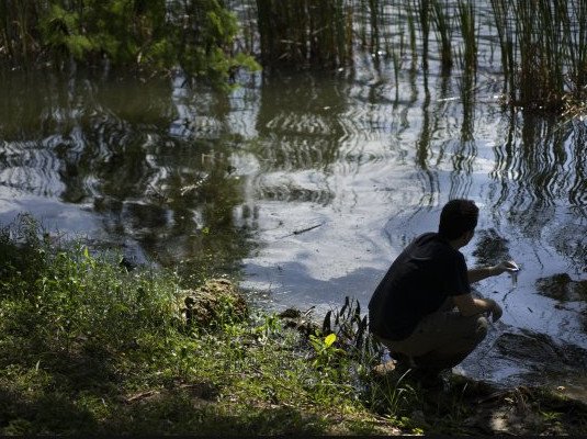 Ερευνα-σοκ: Με τύφο κινδυνεύουν οι αθλητές στους Ολυμπιακούς του Ρίο - Βρόμα και δυσωδία παντού [εικόνες] | iefimerida.gr 11