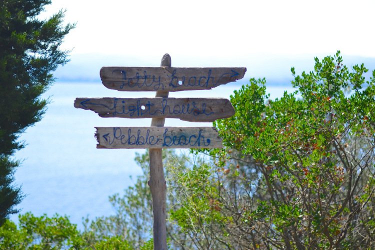 Silver Island Yoga Retreat: Τo ελληνικό ιδιωτικό νησί όπου κάνουν γιόγκα - Το ανακάλυψε Βρετανή blogger και το αποθεώνει [εικόνες] | iefimerida.gr 14