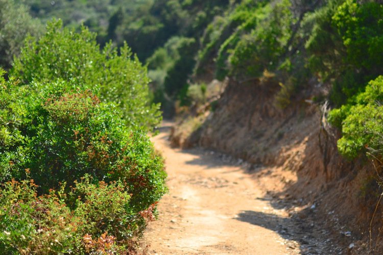 Silver Island Yoga Retreat: Τo ελληνικό ιδιωτικό νησί όπου κάνουν γιόγκα - Το ανακάλυψε Βρετανή blogger και το αποθεώνει [εικόνες] | iefimerida.gr 19