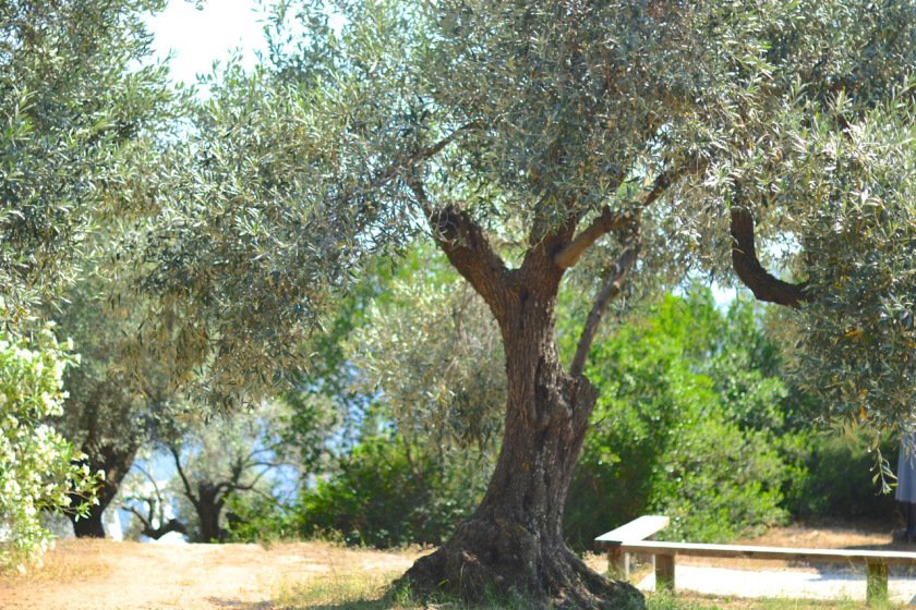 Silver Island Yoga Retreat: Τo ελληνικό ιδιωτικό νησί όπου κάνουν γιόγκα - Το ανακάλυψε Βρετανή blogger και το αποθεώνει [εικόνες] | iefimerida.gr 13