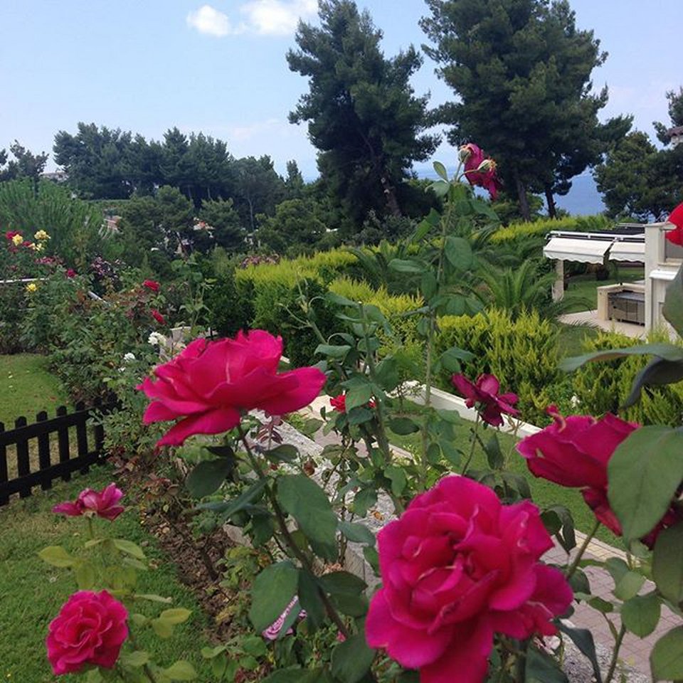 O υπέροχος κήπος της Ράνιας Θρασκιά [εικόνα] | iefimerida.gr 0