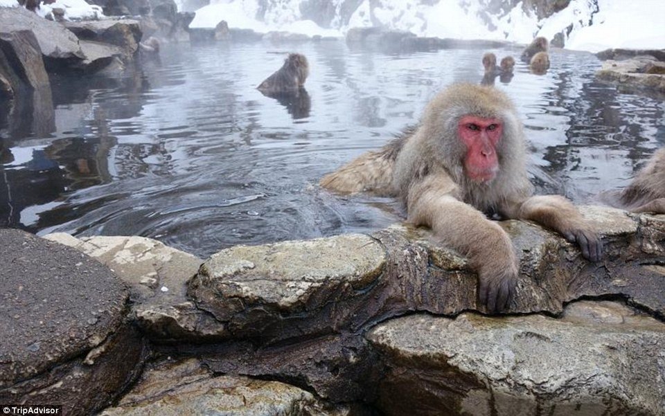 Αυτά τα ξενοδοχεία βρίσκονται στα πιο απίθανα μέρη του κόσμου [εικόνες] | iefimerida.gr 10