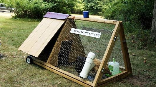 Μόνο στις ΗΠΑ: Νοικιάζουν κότες προς 360 ευρώ για να έχουν φρέσκα αυγά [εικόνες & βίντεο] | iefimerida.gr 1