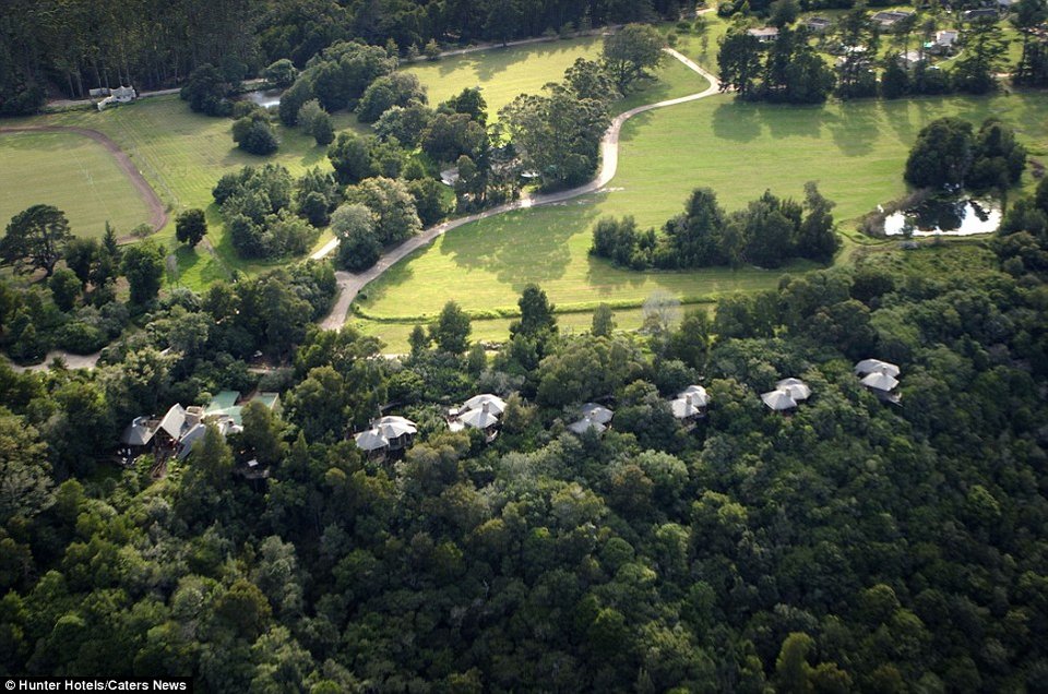 Πολυτελές ξενοδοχείο σε δενδρόσπιτο με τζάκι και πισίνα κοστίζει 600 λίρες τη βραδιά [εικόνες] | iefimerida.gr 5