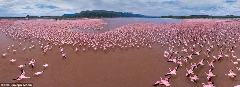 Πετώντας με drone πάνω από τα πιο εντυπωσιακά μέρη του κόσμου [εικόνες] | iefimerida.gr 11